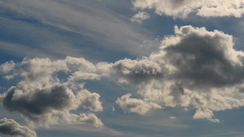 Abstract natural background with tranquil effect and vibrant texture. Stock Footage 98107855