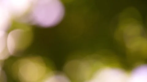 Abstract natural bokeh background. Video stock 252229596
