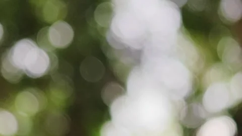 Abstract natural green bokeh background. Stock Footage 340201453