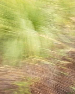 Abstract natural motion blur background featuring a soft diagonal blend of .. Stock Photos