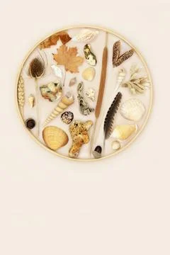 Abstract Natural Nature Objects Zen Background 写真素材