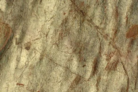Abstract natural pattern. Cut stone. Stock Photos