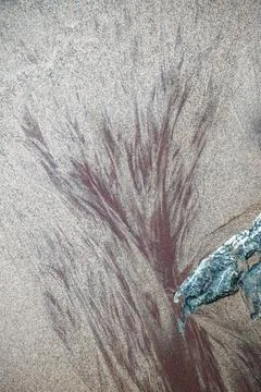 Abstract natural pattern formed by reddish algae deposits Stock Photos