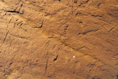 Abstract natural pattern. The texture of the stone. Natural background. Stockfoto's