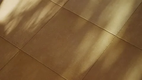 Abstract natural pattern of tree and branches dappled sunlight shadow on floor 库存影片 314720710