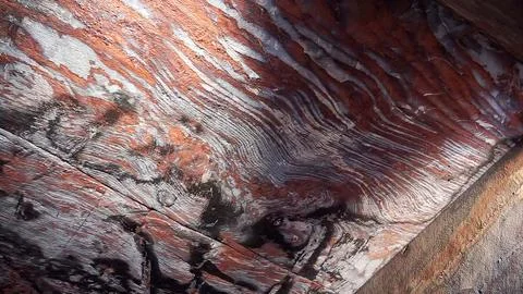 Abstract Natural Patterns on the Sandstone Ceiling of an Ancient Rock-Cut Tomb Stock Photos