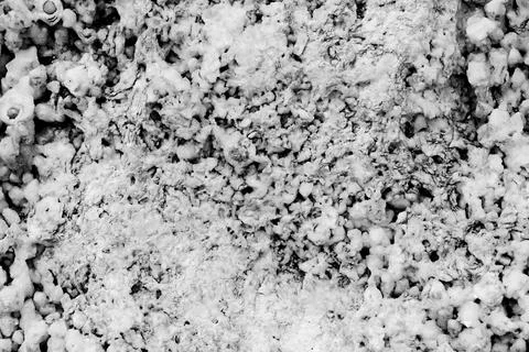Abstract Natural Stone Texture Background 스톡 사진