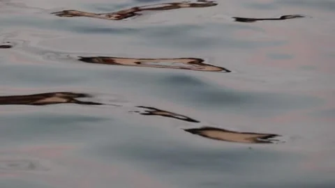 Abstract nature. Abstract color reflection on water. Stock Footage 145708105