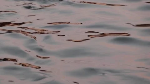 Abstract nature. Abstract color reflection on water. Stock Footage 145737124