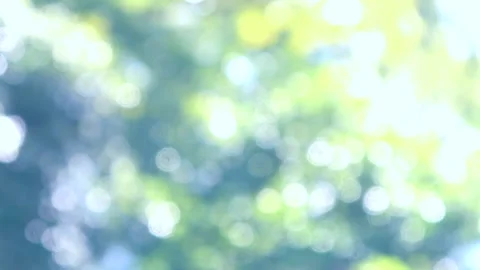 Abstract nature background. Blurred shot of glowing green leaves in sunlight. 4K Stock Footage 265382893