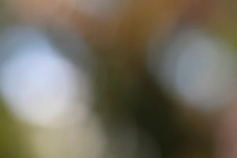 Abstract Nature Background with Blurry Light and Soft Color Palette Stock Photos