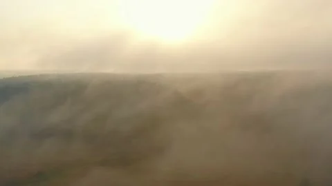 Abstract nature background, drone flying over trees and river into thick white Stock Footage 153930738
