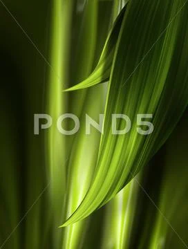 Abstract nature background Stock Illustration