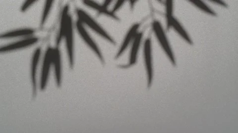 Abstract nature background of leaves shadow silhouette on wall moving by wind 스톡 동영상 148193152