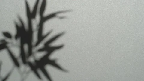 Abstract nature background of leaves shadow silhouette on wall moving by wind Stock Footage 148193326