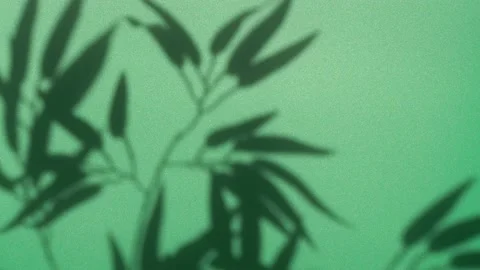 Abstract nature background of leaves shadow silhouette on wall moving by wind Stock Footage 148251264