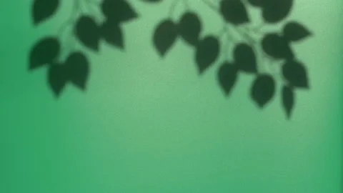 Abstract nature background of leaves shadow silhouette on wall moving by wind Stock Footage 148251315