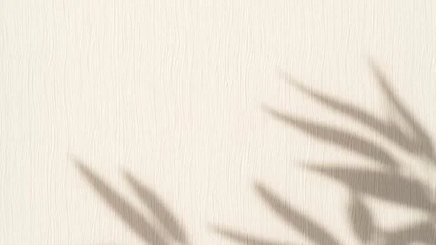 Abstract nature background of leaves shadow silhouette on wall moving by wind Stock Footage 148456241