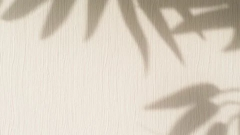 Abstract nature background of leaves shadow silhouette on wall moving by wind 스톡 동영상 149459789