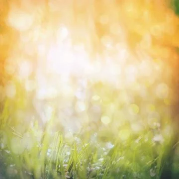Abstract nature background Stock Photos