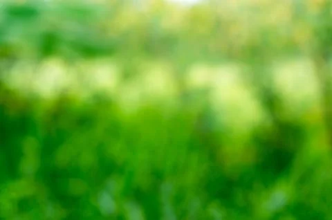 Abstract nature background. Stock Photos