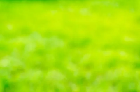 Abstract nature background. Stock Photos