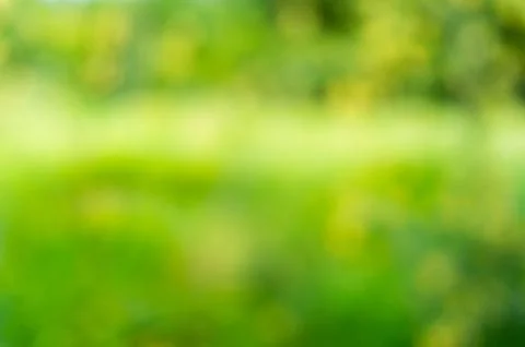 Abstract nature background. Stock Photos