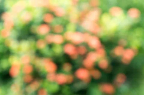 Abstract nature background. Stock Photos