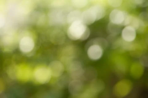 Abstract nature background. Stock Photos