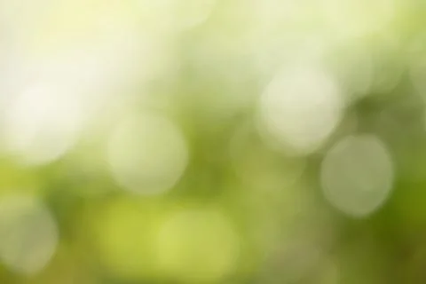 Abstract nature background. Stock Photos