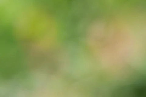 Abstract nature background. Stock Photos