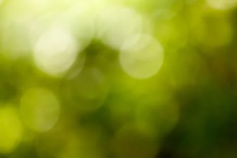 Abstract nature background. Stock Photos