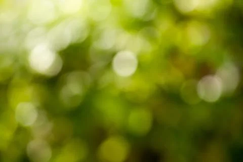 Abstract nature background. Stock Photos