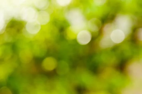 Abstract nature background. Stock Photos