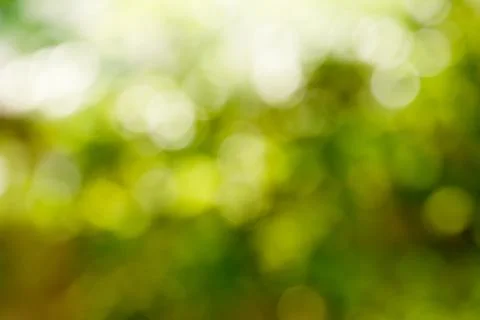 Abstract nature background. Stock Photos