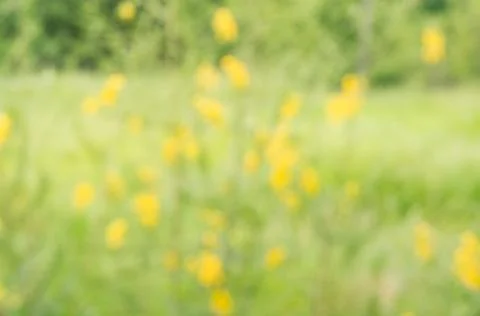 Abstract nature background. Stock Photos