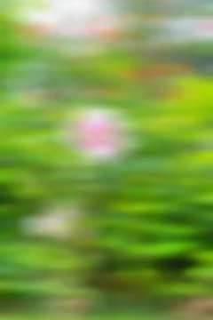 Abstract nature background Stock Photos