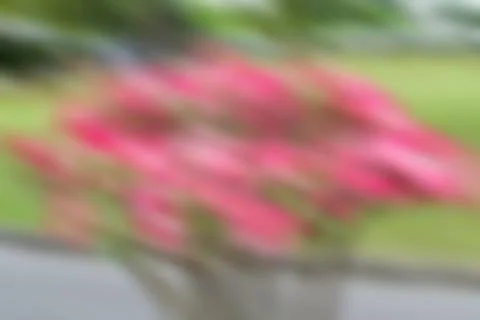 Abstract nature background Stock Photos