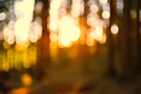 Abstract Nature Background 스톡 사진