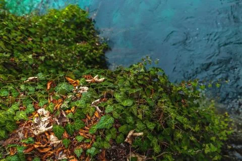Abstract nature background Stock Photos