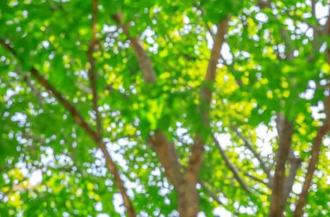 Abstract nature background Stock Photos