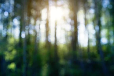 Abstract nature background Stock Photos