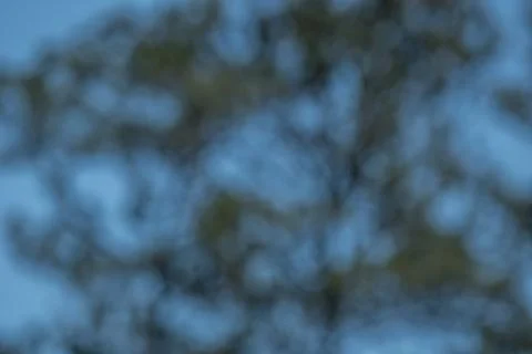 Abstract nature background Stock Photos