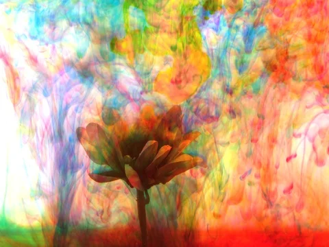 Abstract nature background shot Stock Footage 74094599