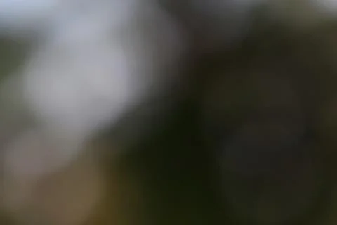 Abstract nature background with soft light and blurred colors Stock Photos