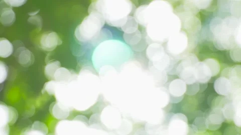 Abstract Nature Background With Sunlight Bokeh And Shimmering Summer Foliage 動画素材 342332178