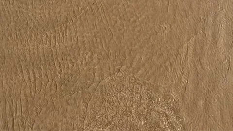 Abstract Nature Background Water Streams Moving on Golden Beach Sand Stock Footage 341465955