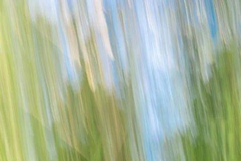 Abstract nature blur using intentional camera movement Stock Photos