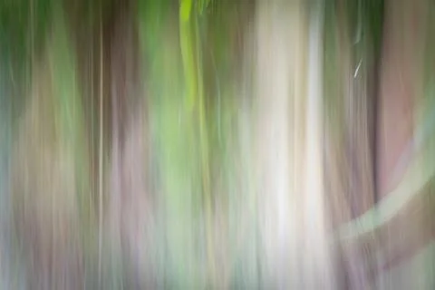 Abstract nature blur using intentional camera movement Stock Photos