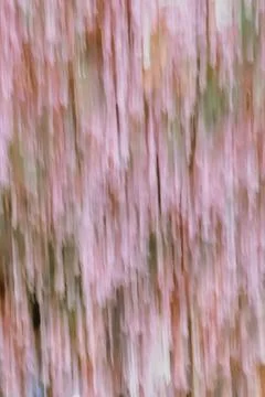 Abstract nature blur using intentional camera movement Stock Photos
